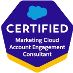 Logo Salesforce Marketing Cloud Account Engagement Consultant Certification Exam 100% Pass - itcertshop.com